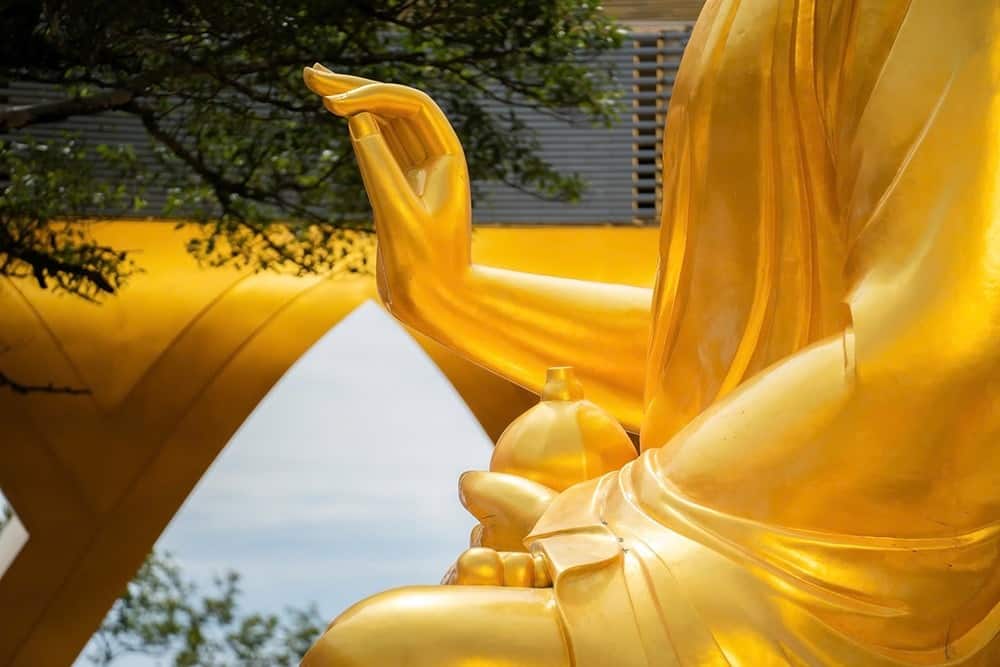 Chi tiết thủ ấn giáo hóa và biểu tượng quả sung trên tay Đức Phật